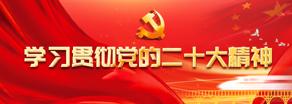 进建贯彻党的二十大心灵